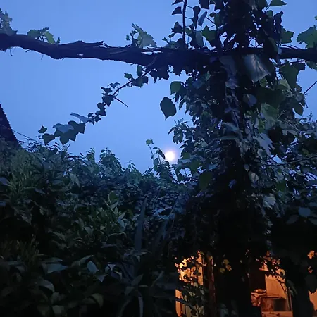 度假居 Casa Brialto Gergei