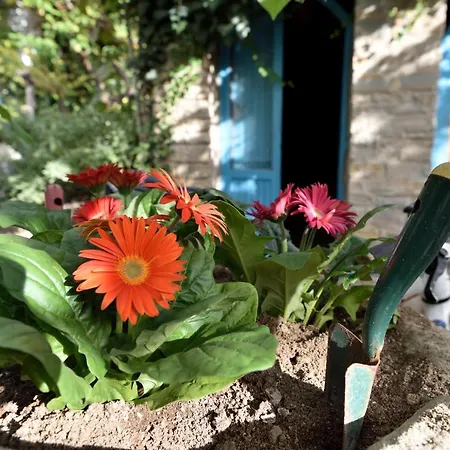 Casa Brialto Prázdninový dům