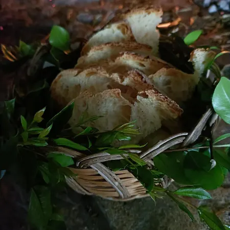 Prázdninový dům Casa Brialto Gergei