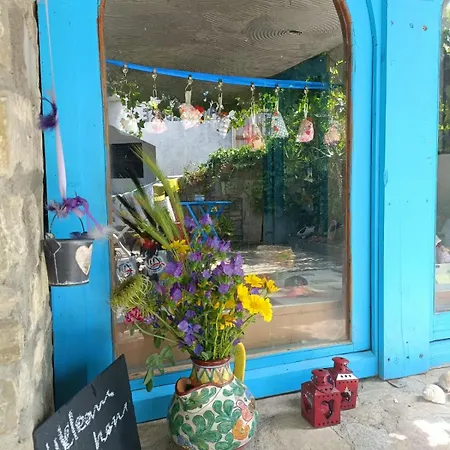 Дом отдыха Casa Brialto *